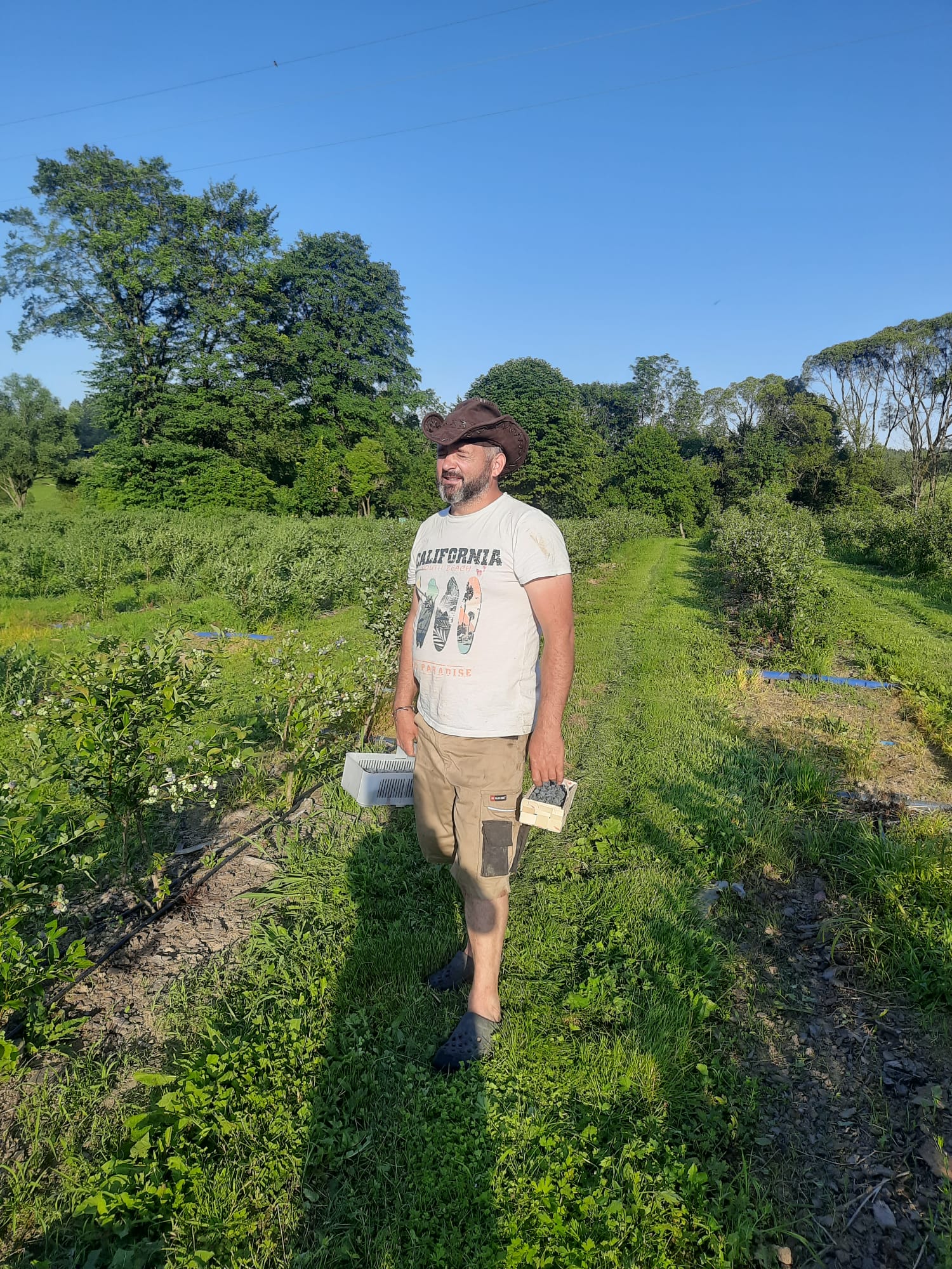 Zdjęcie z ogrodu Bieszczady