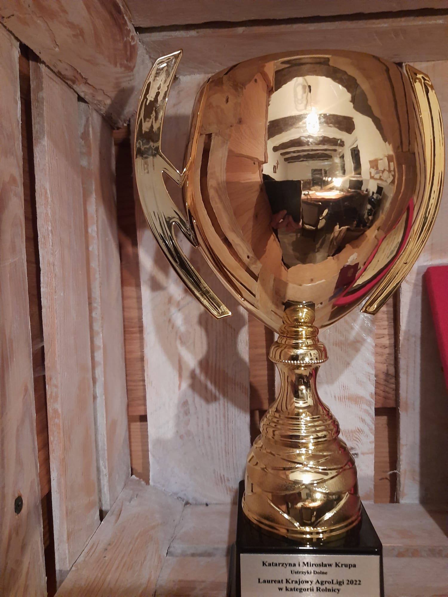 Zdjęcie z ogrodu Bieszczady