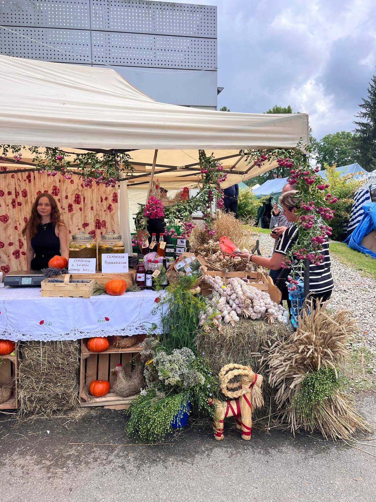Zdjęcie z ogrodu Bieszczady