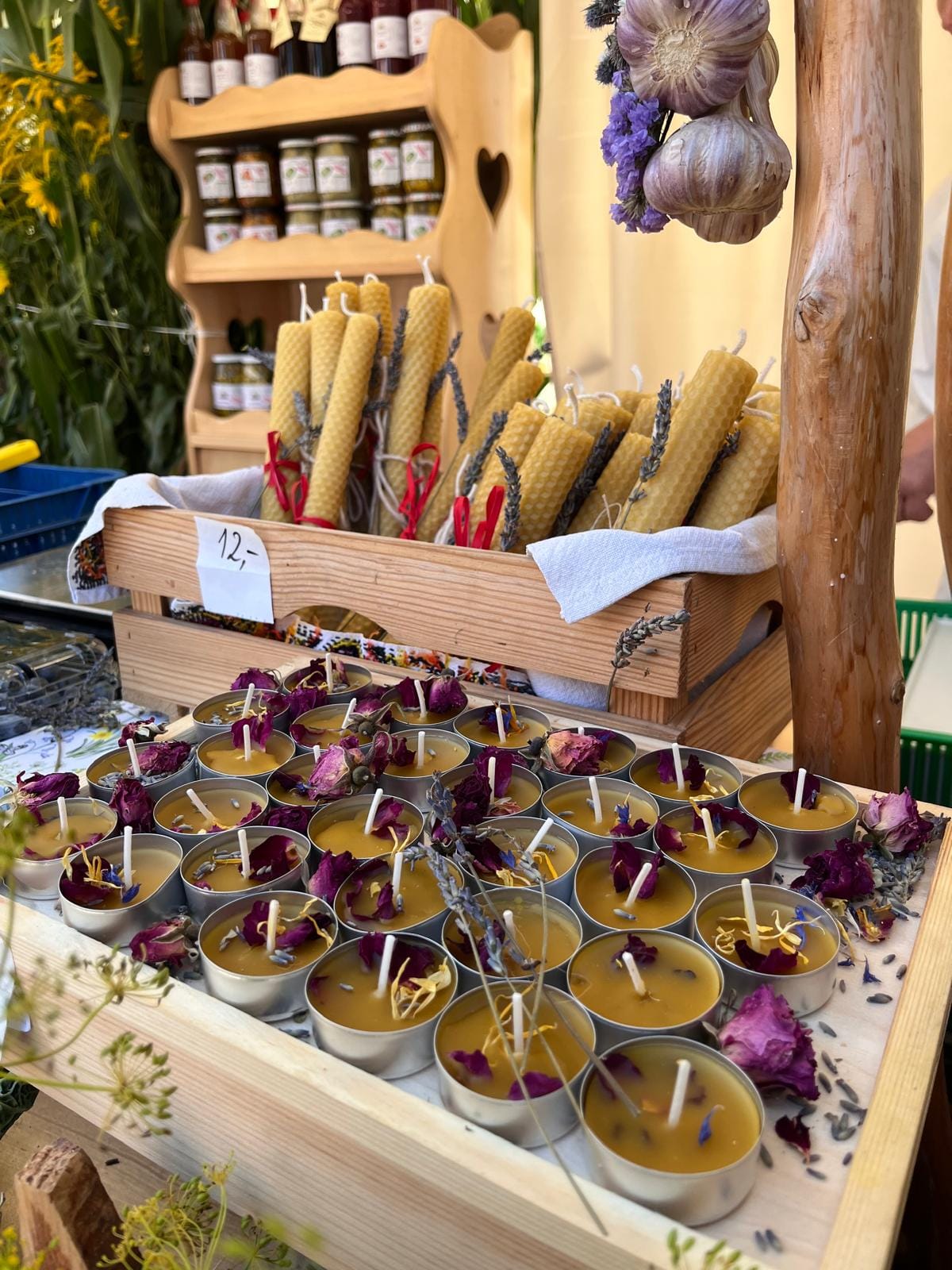 Zdjęcie z ogrodu Bieszczady