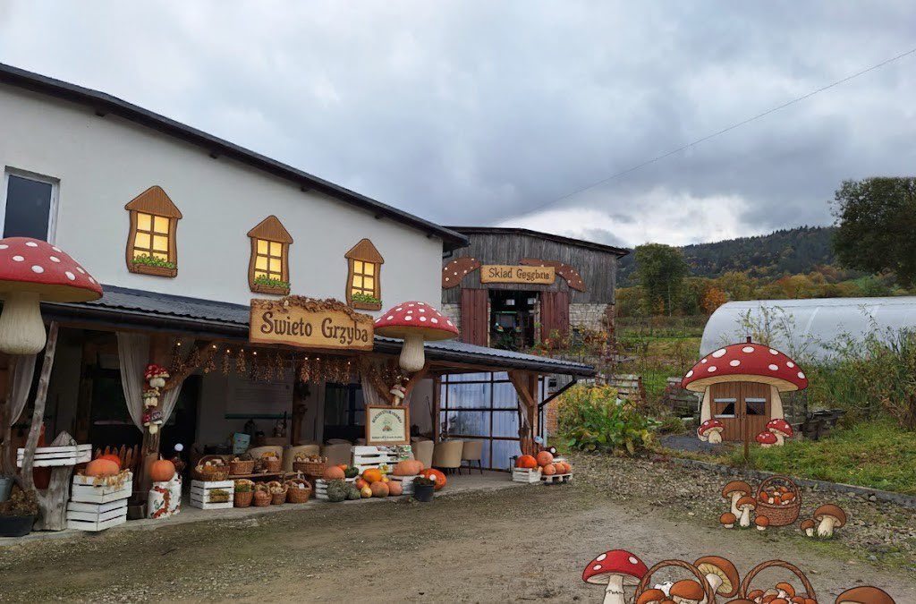 Zdjęcie z ogrodu Bieszczady